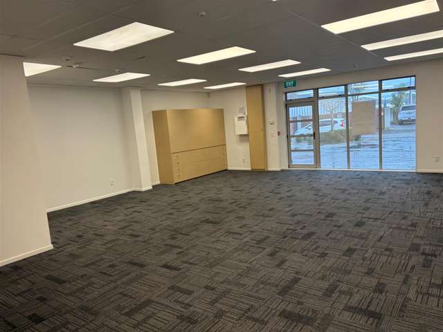 12 Pope Street Riccarton_2