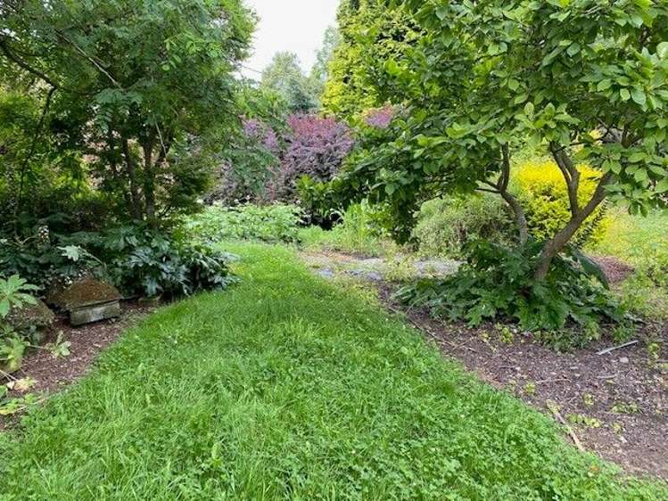 8a Coles Street Geraldine_1