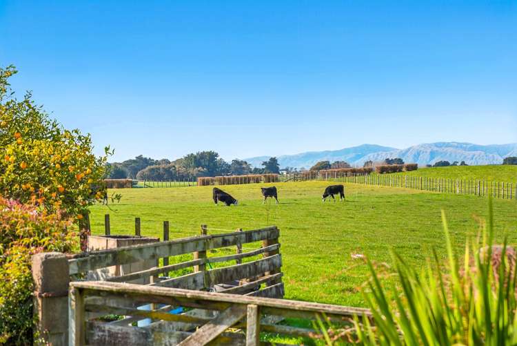 208 Kukutauaki Road Koputaroa_22