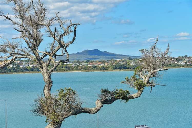 71 Sylvan Avenue Northcote_6