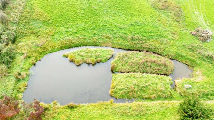 28 Mandeville Road Winton Surrounds_9