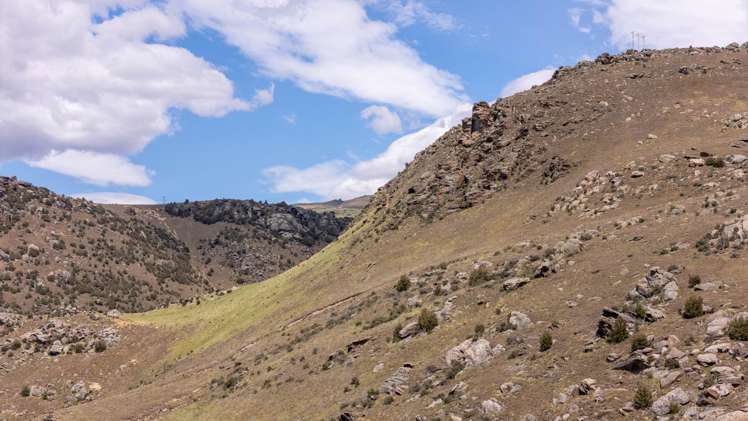 State Highway 8 Shingle Creek_8