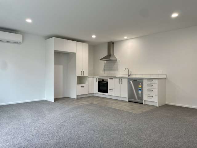 2/155 Rimu Street Maeroa_2