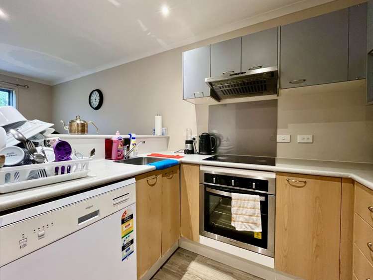 186 Dawson Rd Flat Bush_5