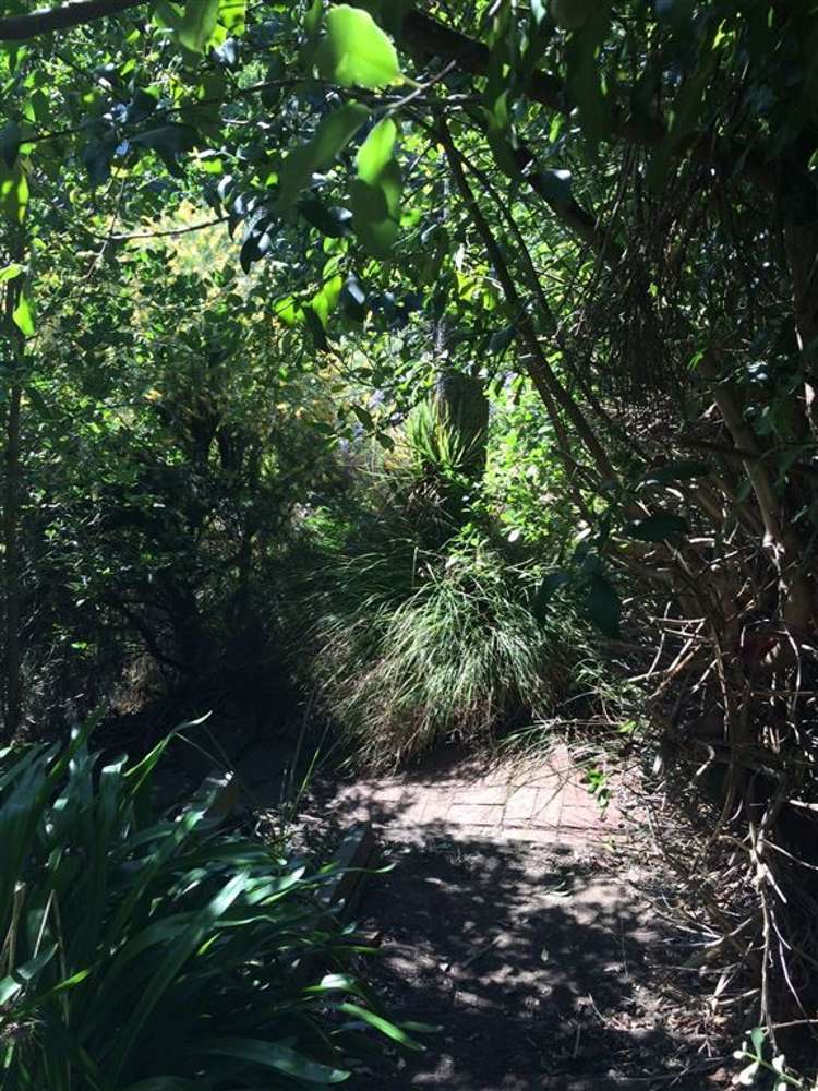 33c Hackthorne Road Cashmere_11