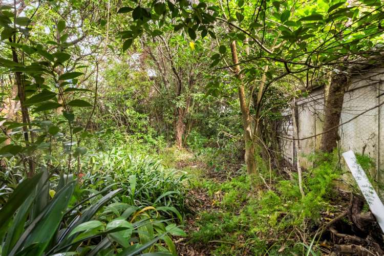 243 Meola Road Pt Chevalier_7