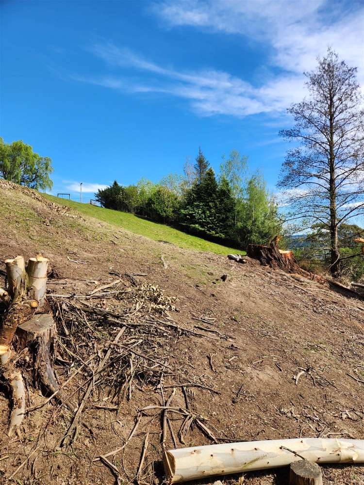 14 GULL STREET Waihola_12