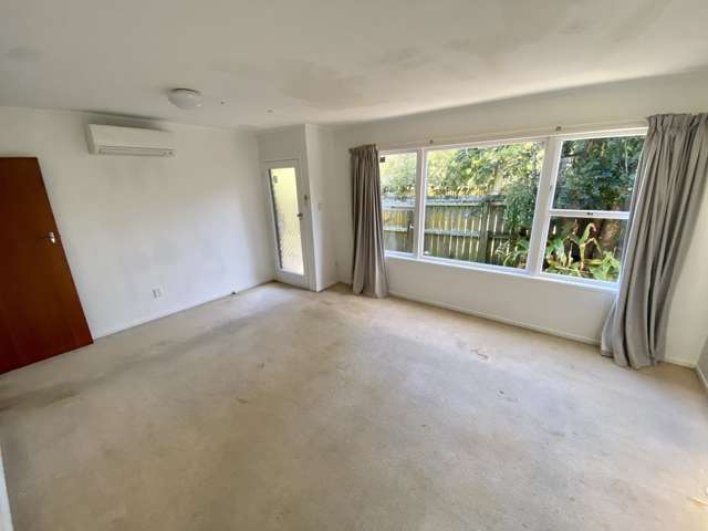 1/931a Mount Eden Road Three Kings_1