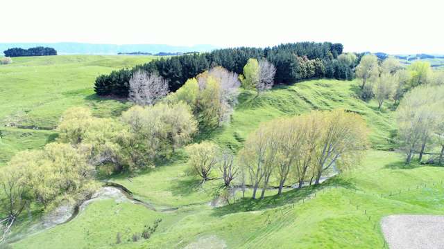 654 Cowper Road Dannevirke_1