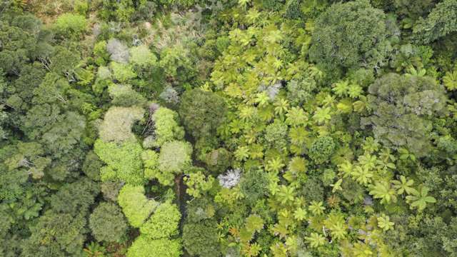 139 Paparoa Road Wainui_2