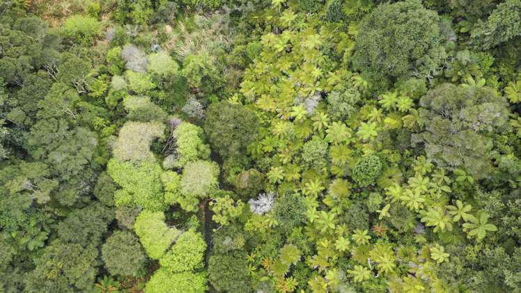 139 Paparoa Road Wainui_2