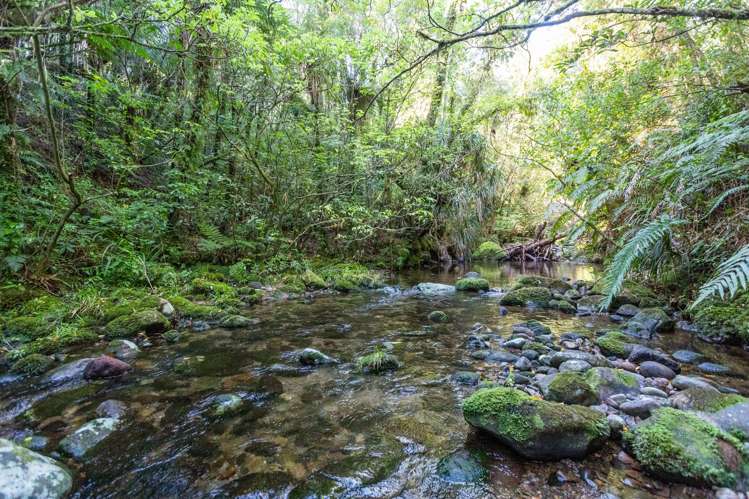 1581 Carrington Road Hurworth_15