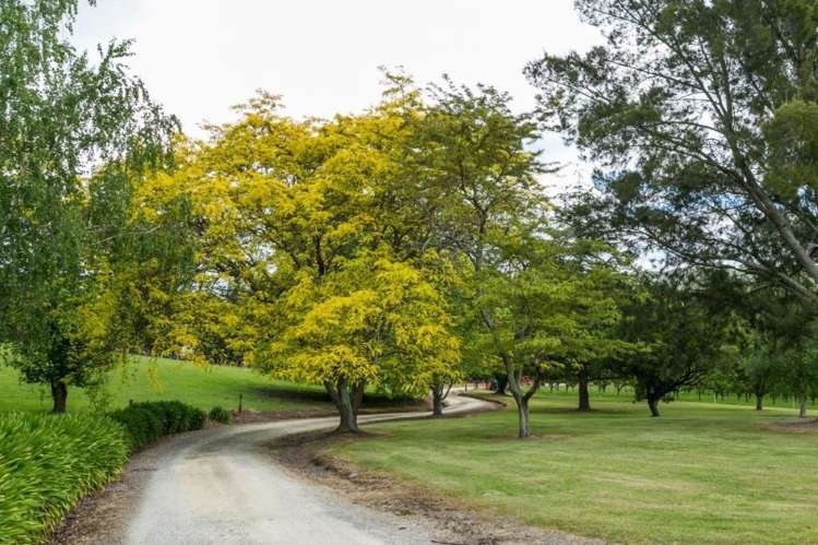 233 Te Mahanga Road Poukawa_1