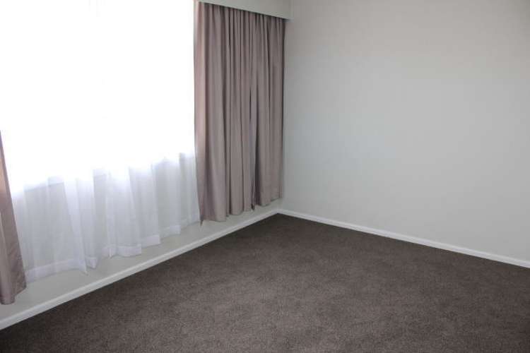 3 Tarapunga Place Tokoroa_11