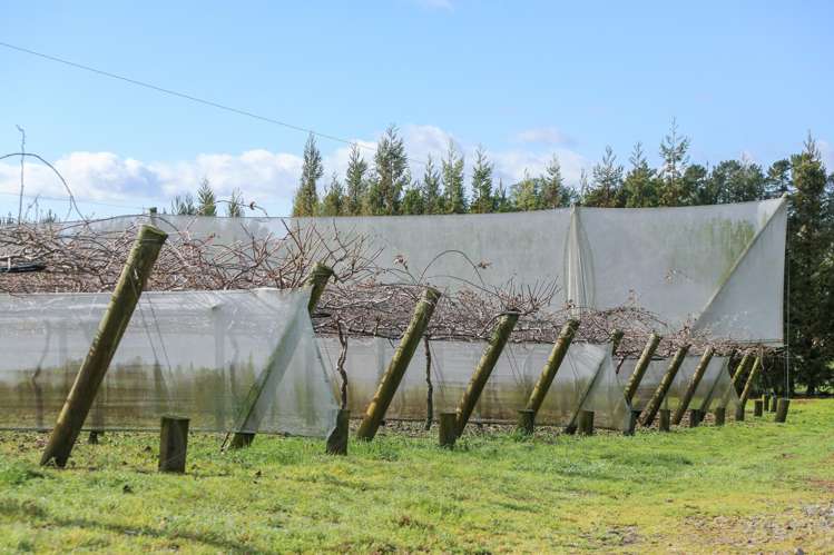 852 Rangiuru Road Rangiuru_23