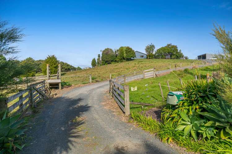 499 Shelly Beach Road South Head_36