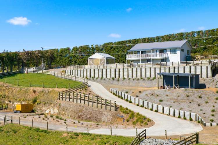 374 Youngson Road Whakamarama_19