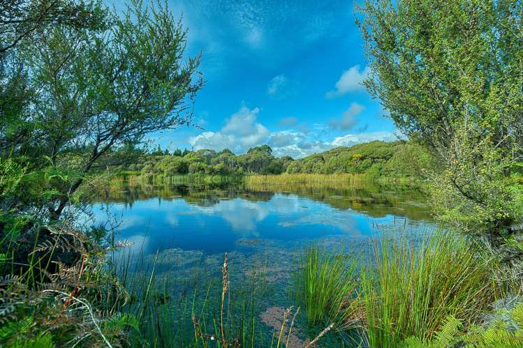 192 Keogans Road Hokitika_52