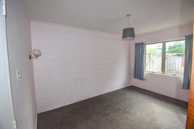 319a Thames Street Morrinsville_3