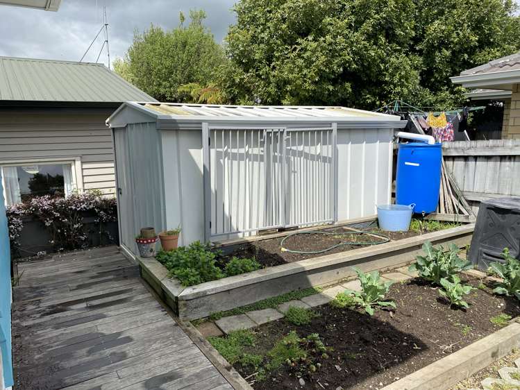 10 Vine Avenue Maungatapu_16