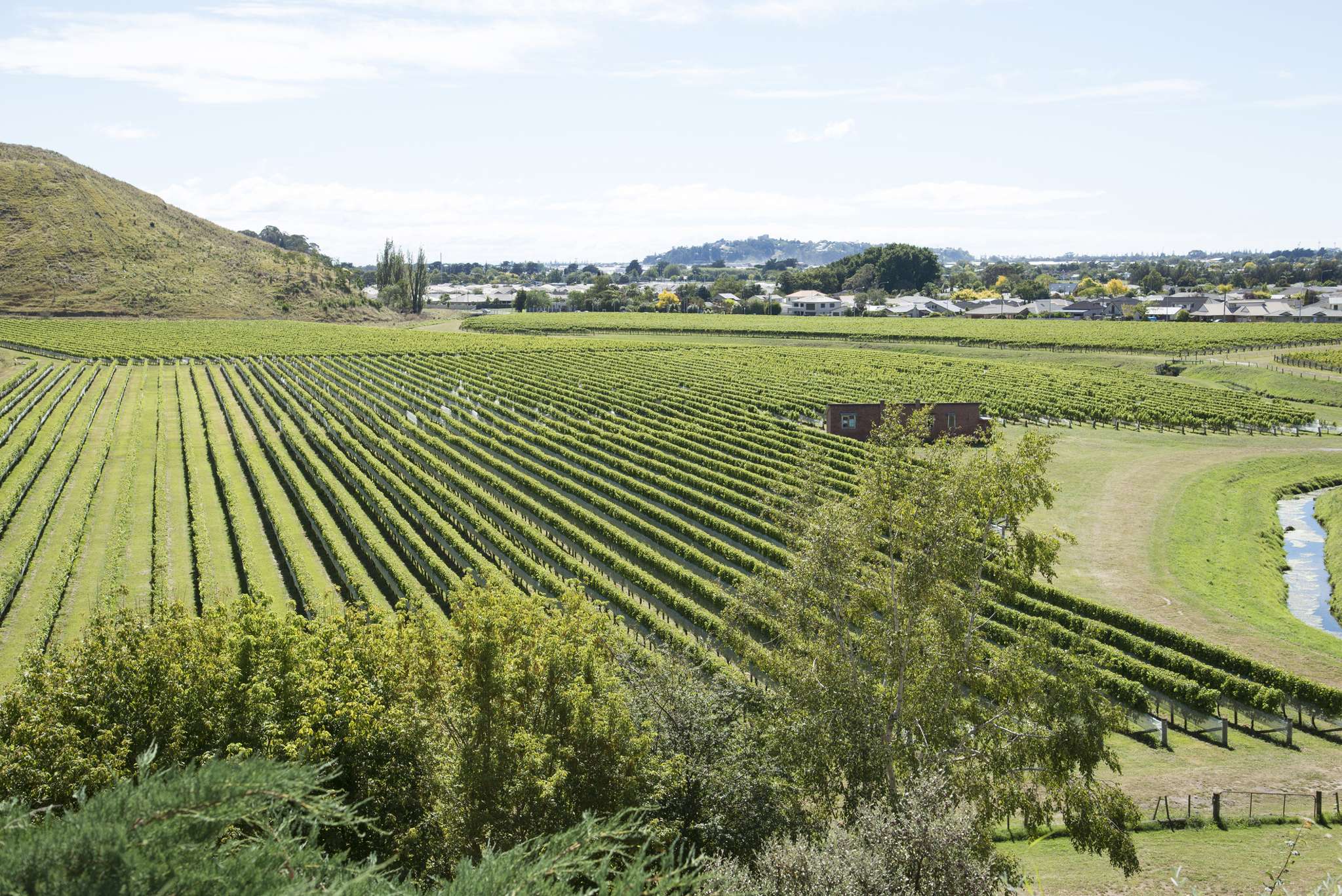 Let’s move to … Taradale, Napier