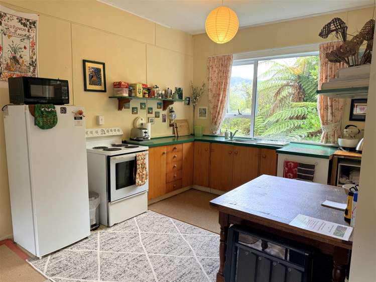 295 Roa Road Blackball_5