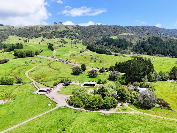 7046 State Highway 12 Waimamaku_15