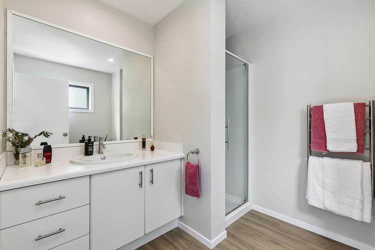 33a Treasure Grove Hataitai_17