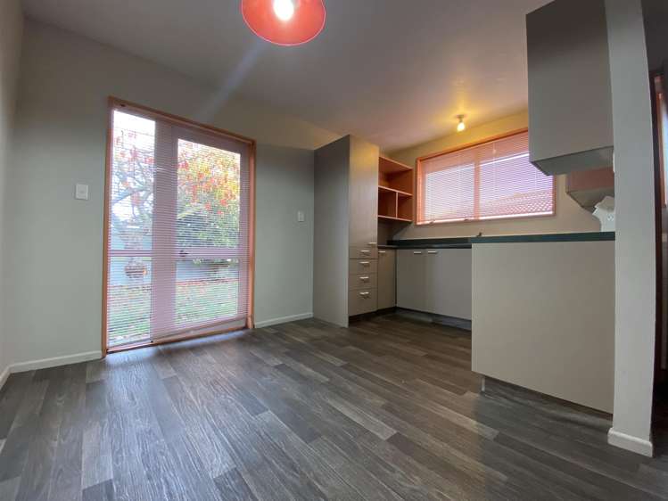 11a Strickland Street Sydenham_3