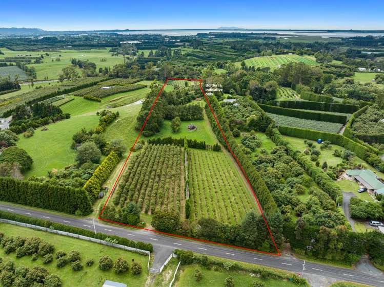 Pine Ridge Lane Aongatete_13