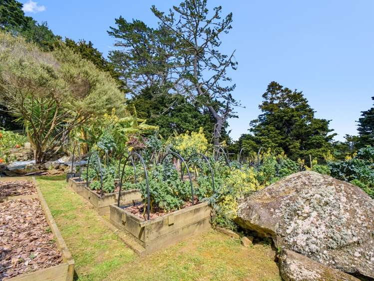 48 Forest View Road Te Kamo_34