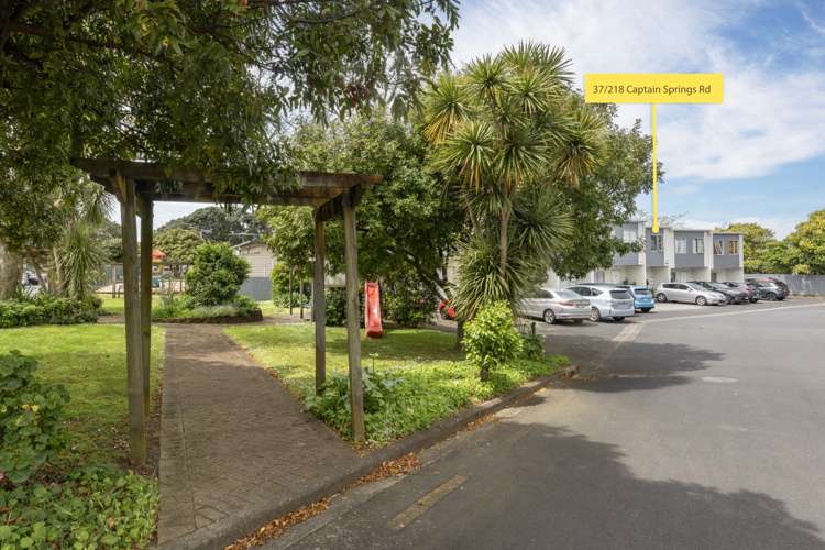 37/218 Captain Springs Road Onehunga_1