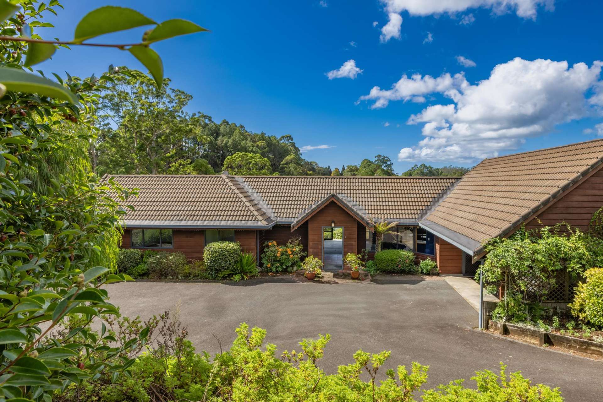 24 Access Heights Kerikeri_0