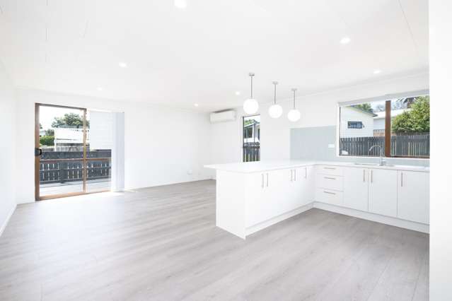 174 Finlayson Avenue Clendon Park_4