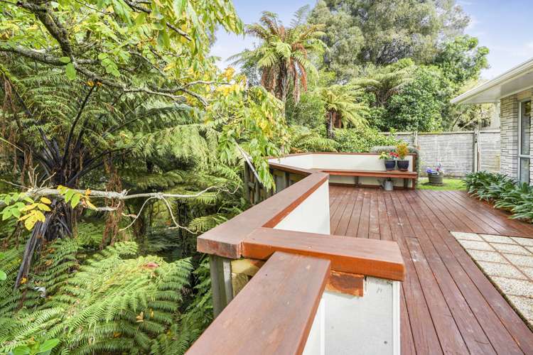 11b Armagh Street Hamilton East_11