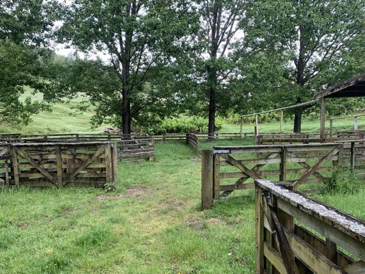 1819 Mataraua Road Kaikohe_24