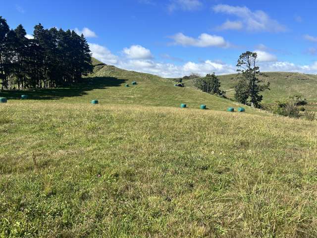 Near 741 Upland Road Egmont Village_3