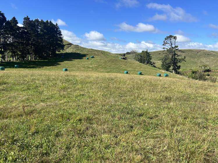 Near 741 Upland Road Egmont Village_3