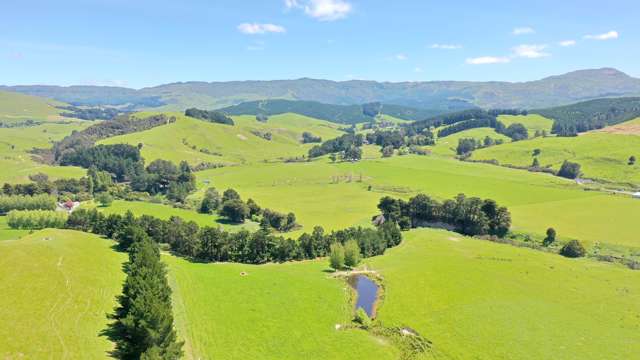 Productive country - Purchase options!