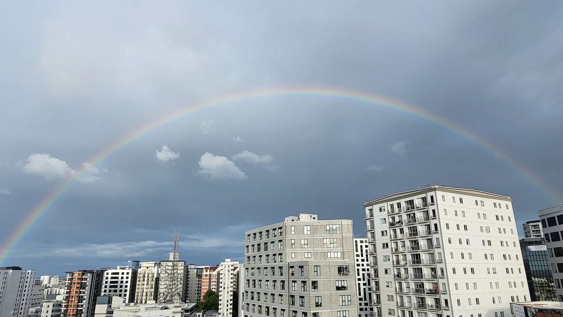 L12/15 City Road Auckland Central_0