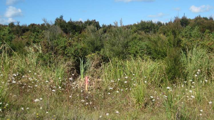 130 Stratford Drive Cable Bay_8