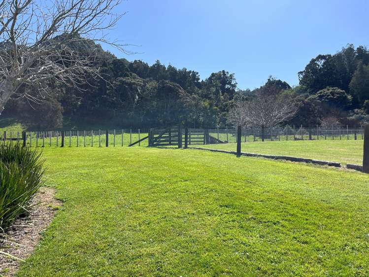 147 Omaha Valley Road Big Omaha_21