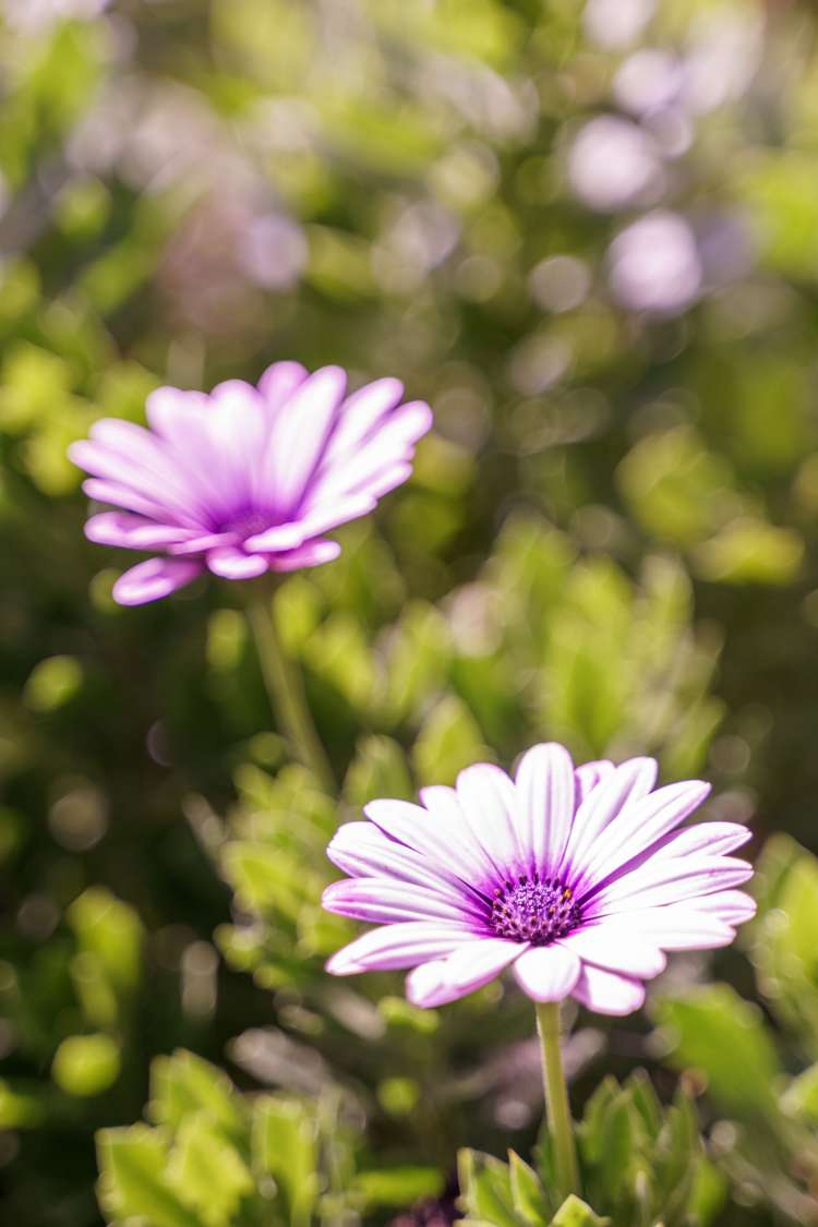 1/361 Main South Road Hornby_19