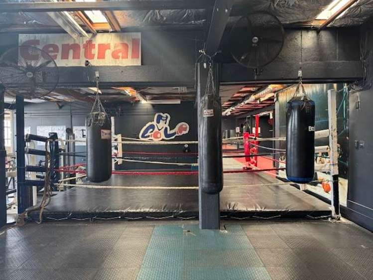 3-5 Rendall Place Eden Terrace_11