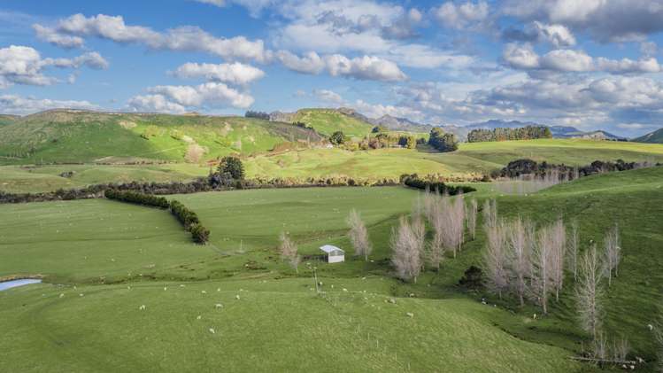 463 Gull Flat Road Central Hawkes Bay Country_21