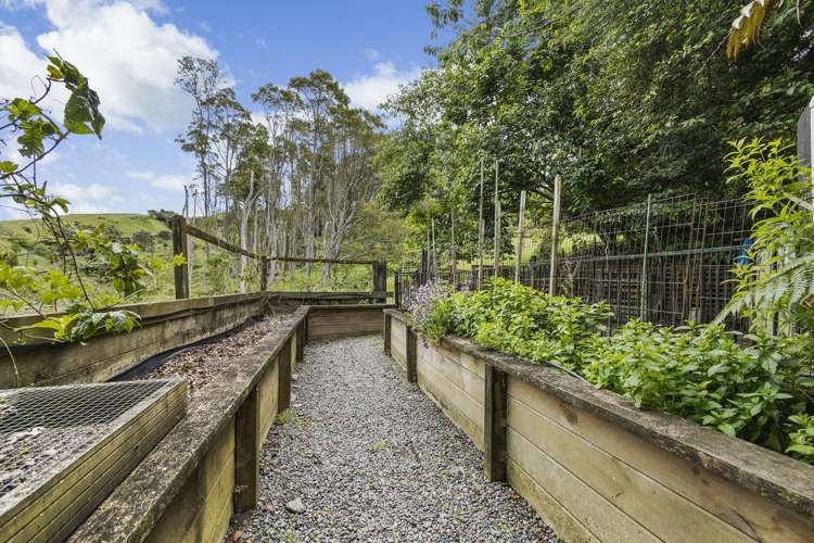 127A Otonga Valley Road Raglan_11