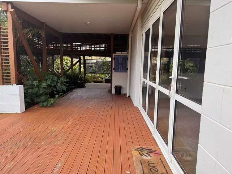 142C Campbell Road Greenlane_10
