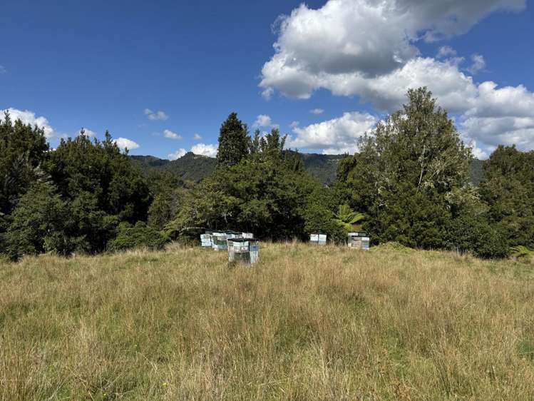 637 Makakahi Road Ruatiti_8