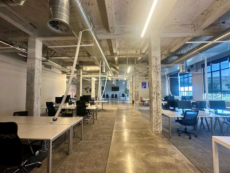 24 Balfour Road Parnell_5