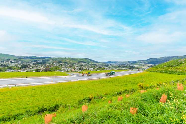 203 John Burke Drive Aotea_15